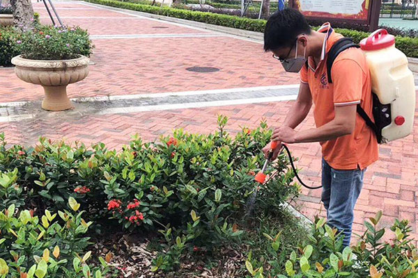 板芙专业灭鼠厂家