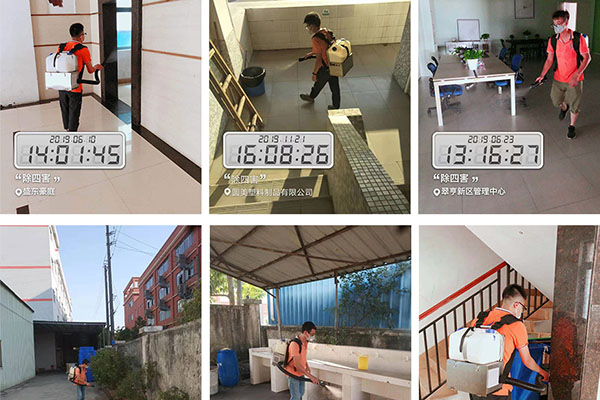 阜沙专业鼠害防治公司