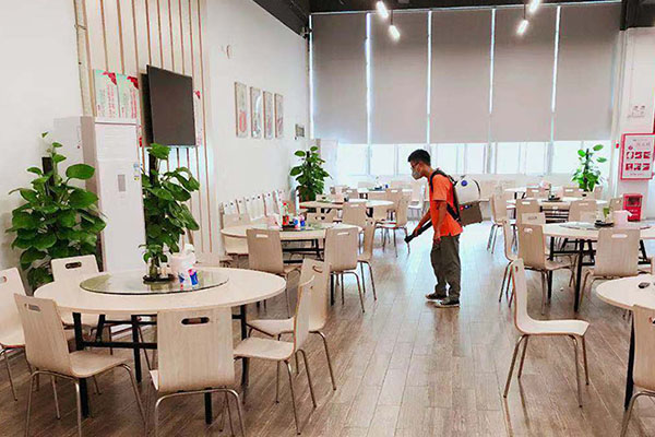 板芙优质杀蟑螂公司