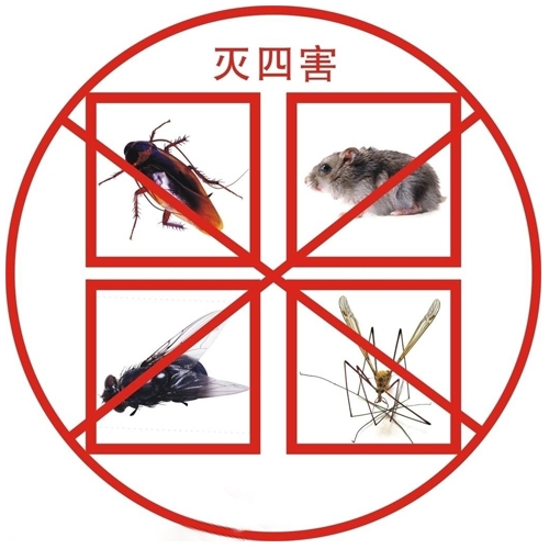 中山白蚁防治相关因素对白蚁的生活影响
